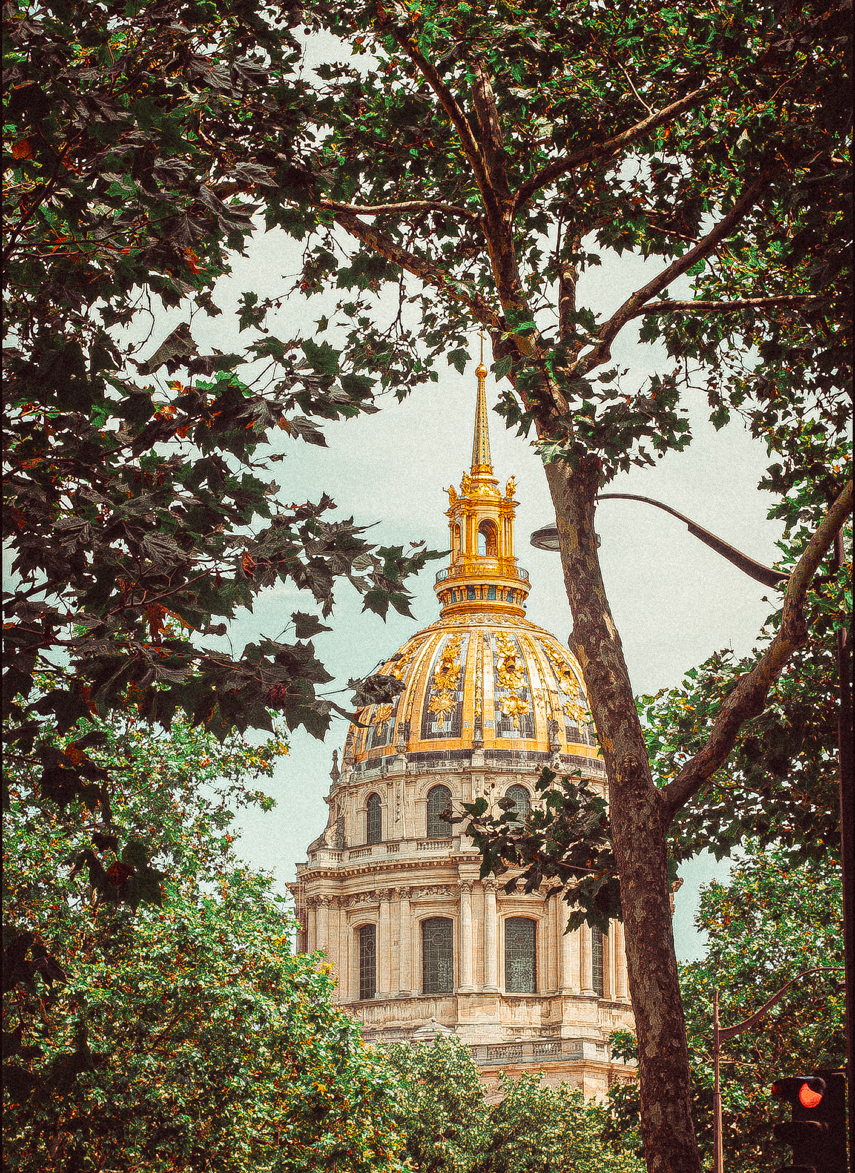 Notre-Dame reconstruction